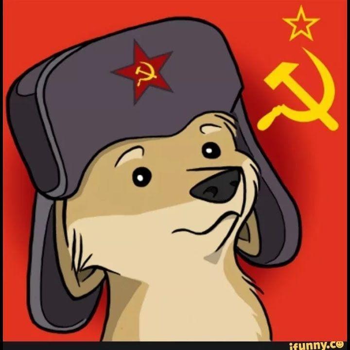Player USSR_NoO6 avatar