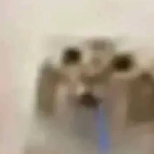 r4v3n4s0
