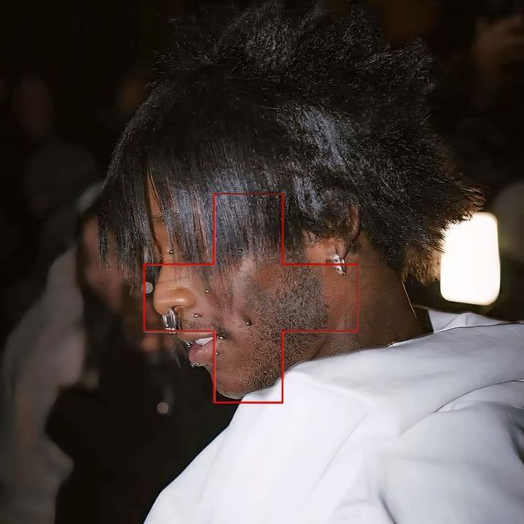 l1mice666