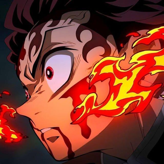 fibikuu avatar