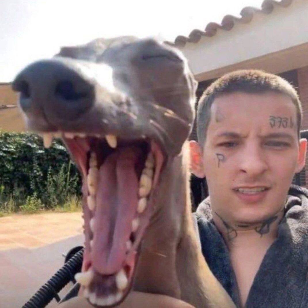 jesiw0w