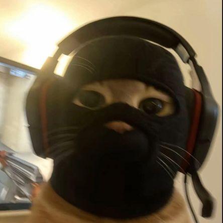 Meowtares