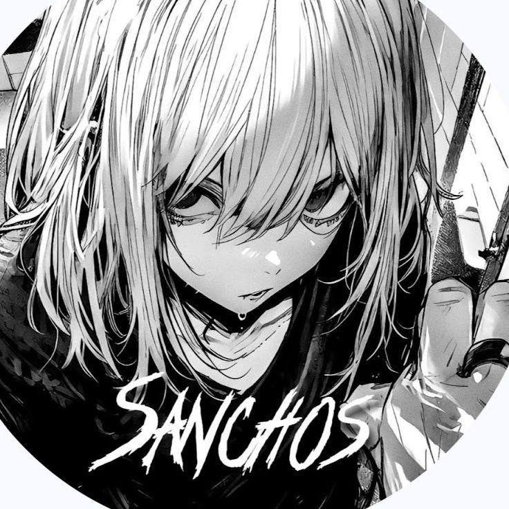 Sanchos_1 avatar