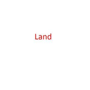 Player _Land avatar