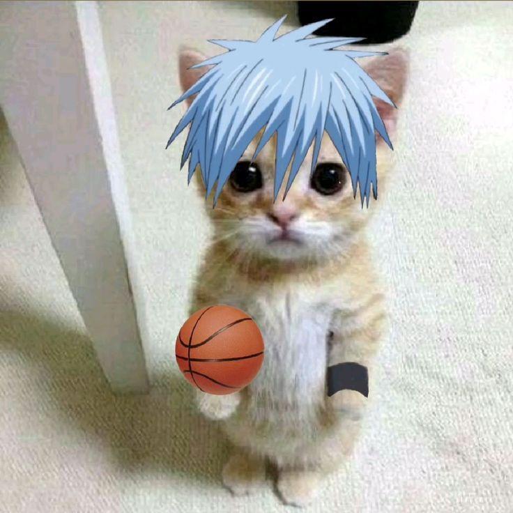 73128