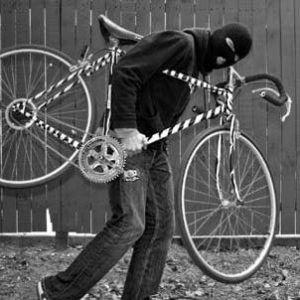 Bike Thieves