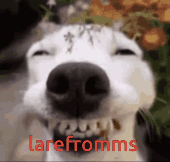 larefromms avatar