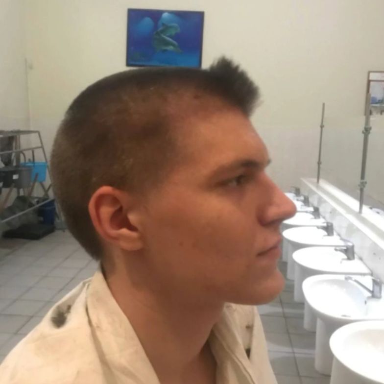 perl4mutr avatar