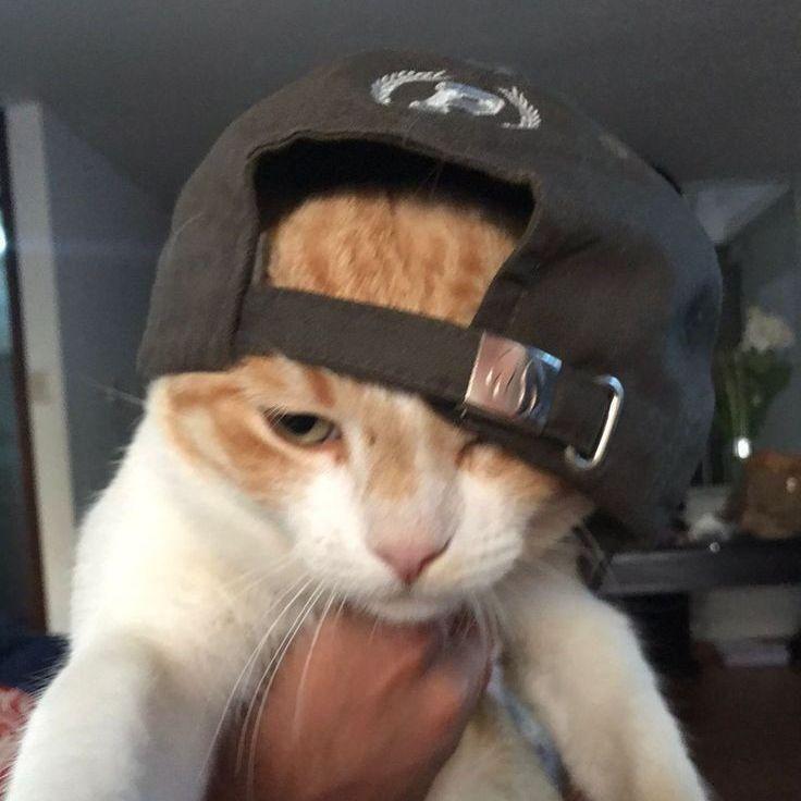 STEzIIIX avatar