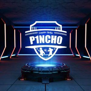 Player P1NCH0_ avatar