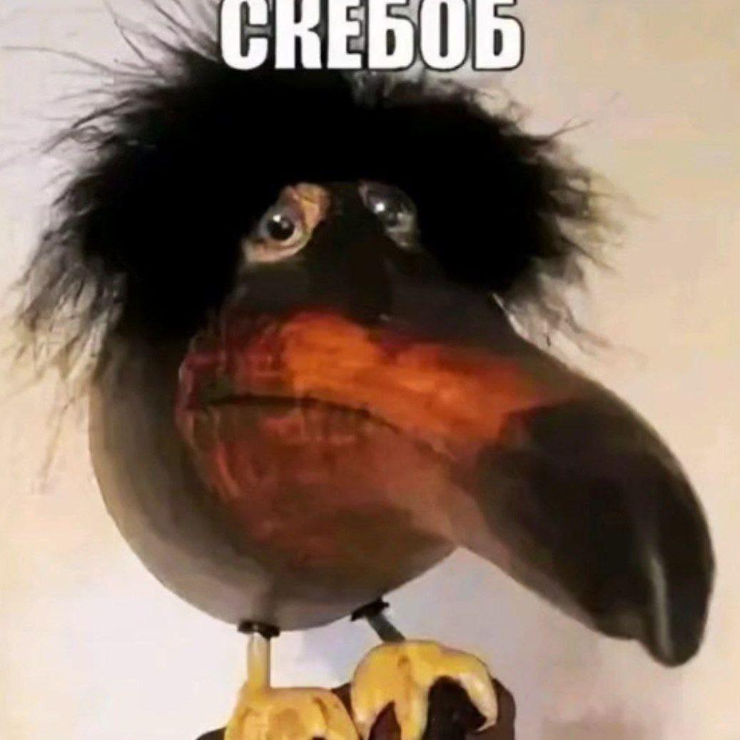 -vsadnik avatar