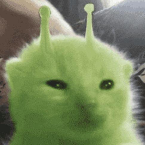 seizerrro avatar