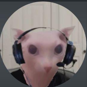 MrInfo avatar