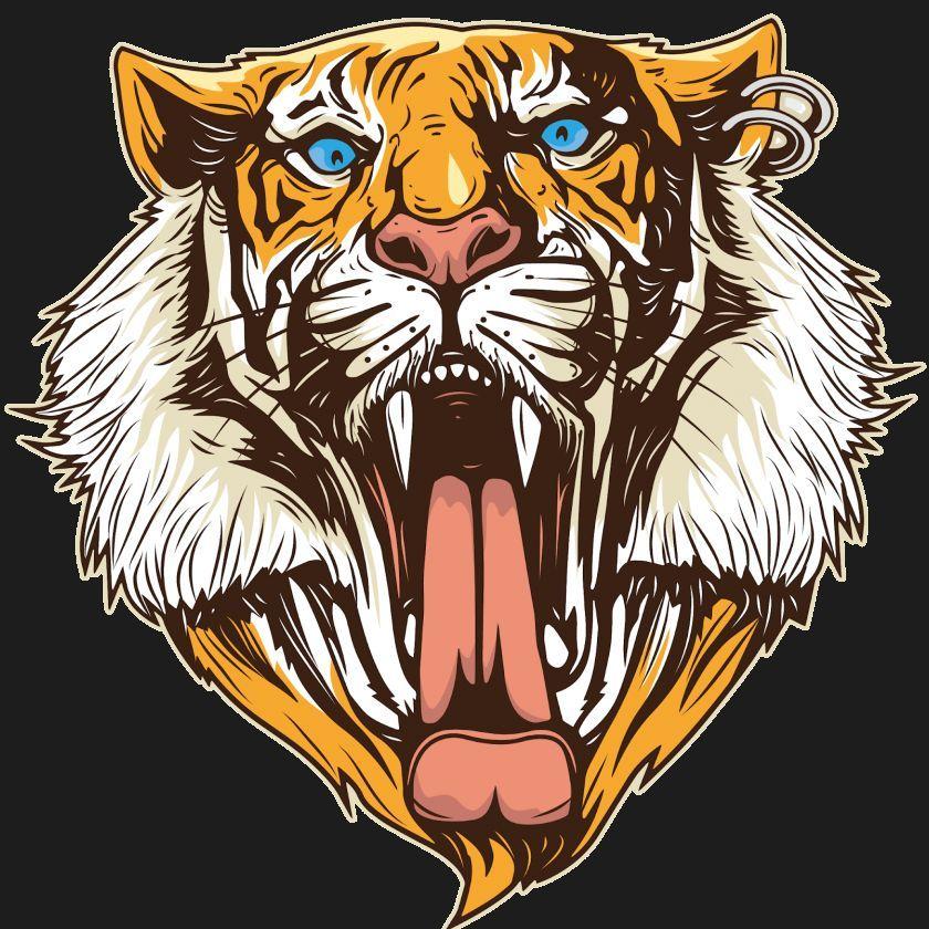 TigrinhoJR avatar