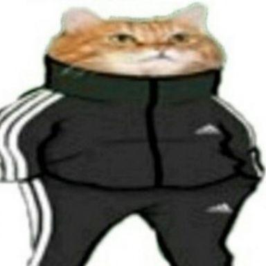 d3syaa avatar