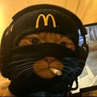 mindofregi avatar