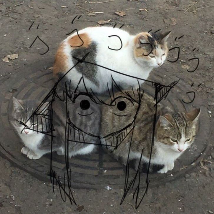 kyoufushi