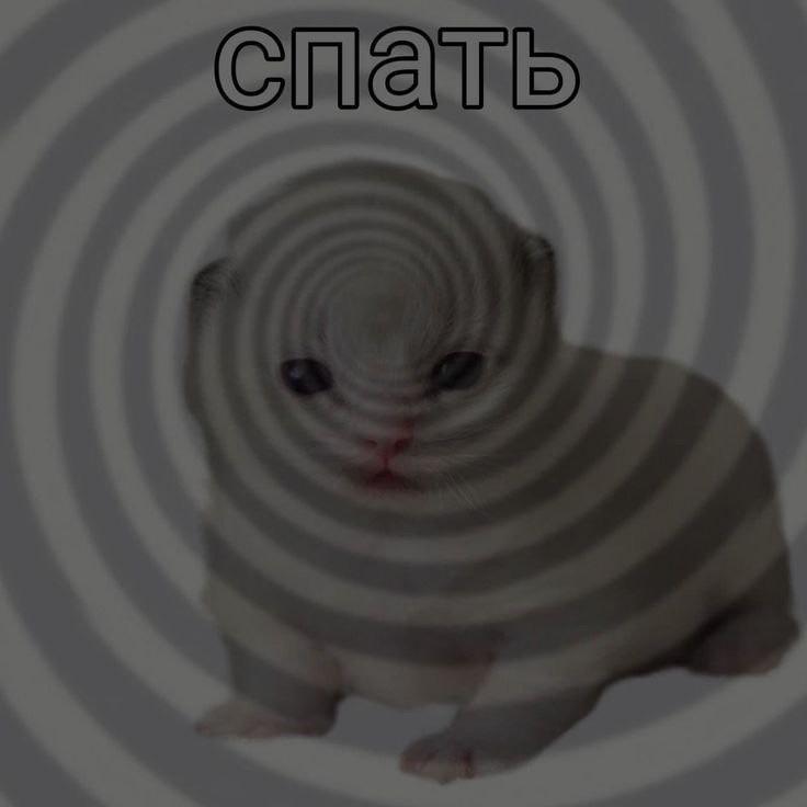 sh1i0