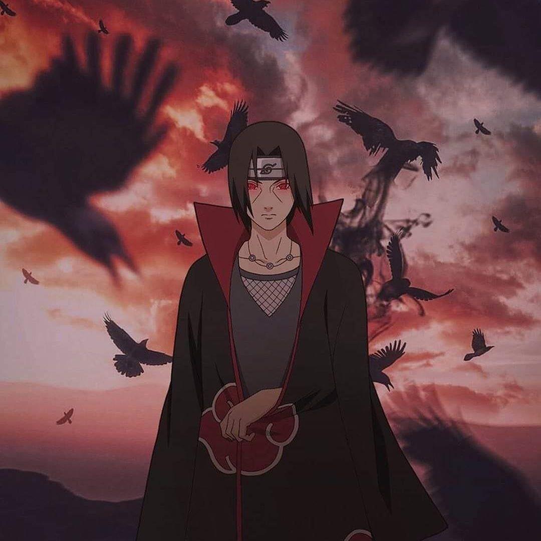 rinoranchero avatar