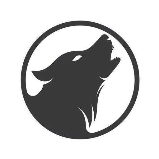 DooDLZ_ FACEIT avatar