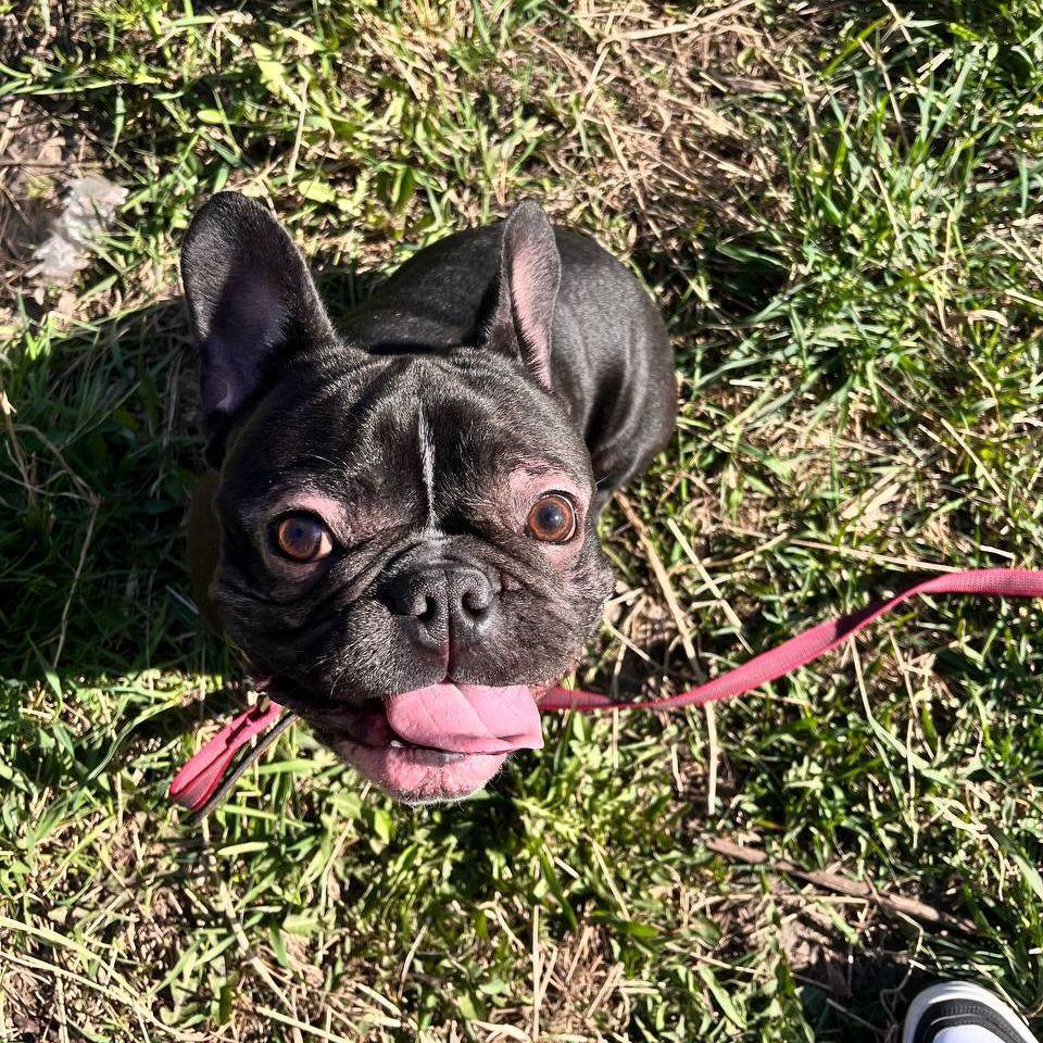 Kamoz0r avatar