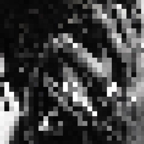 alohelpmepls avatar