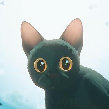 fL0WSTATE- avatar