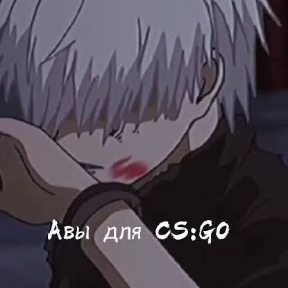 Seb0g1