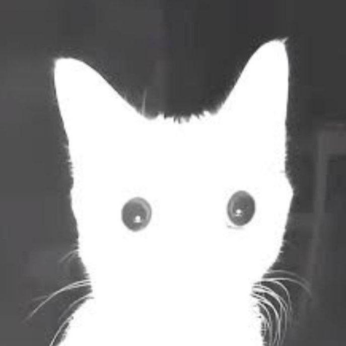 Toyape_ avatar