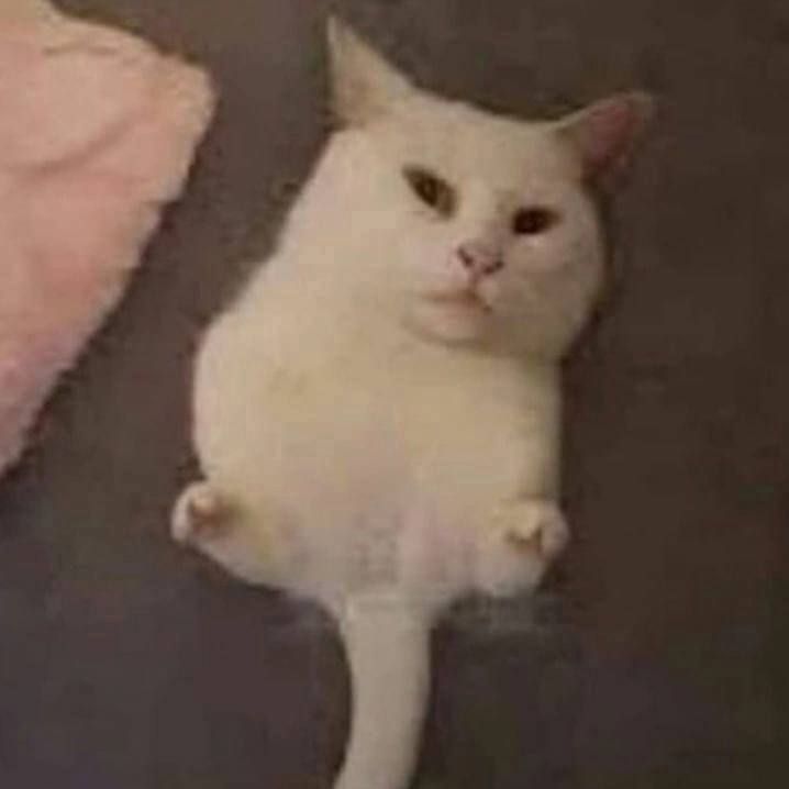 notreal avatar