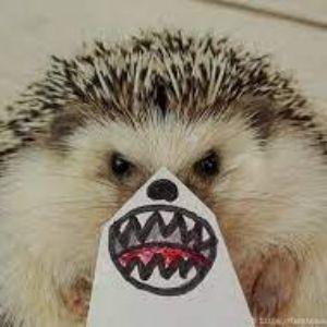 HedgehogEj