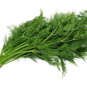 koperfild