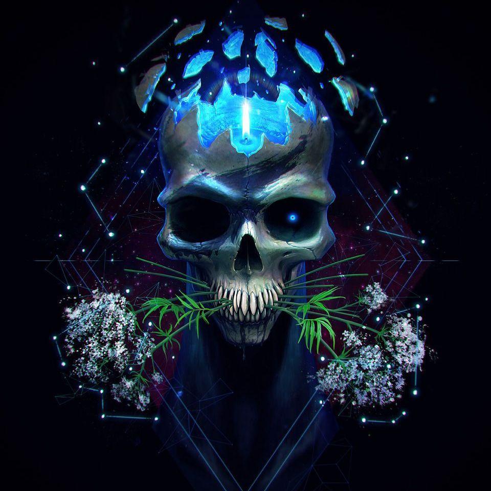 Skull steam profile фото 62