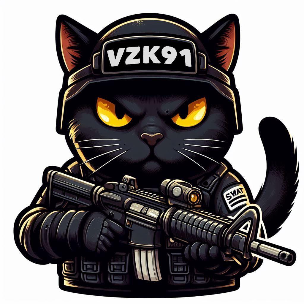 VzK91 avatar