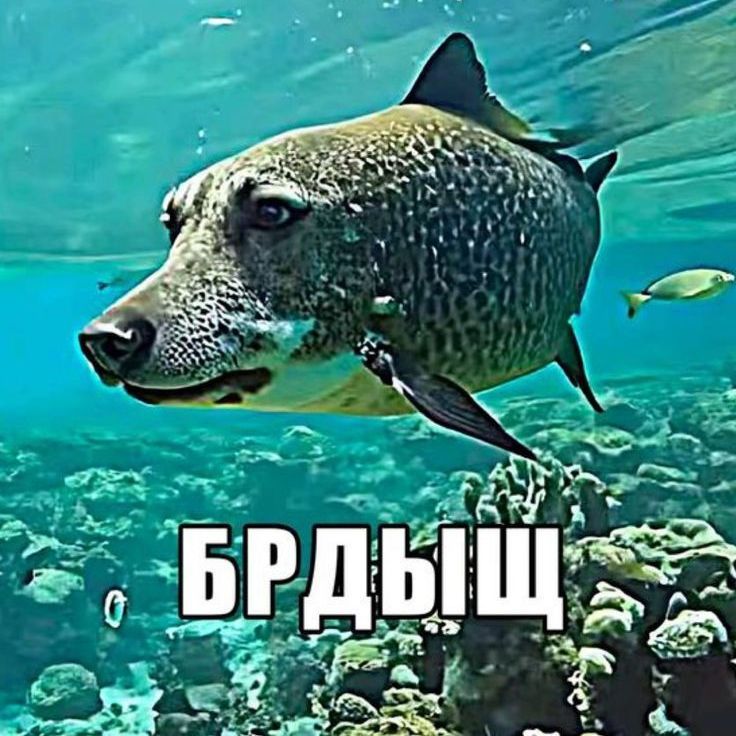 n3jz4r