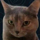 masik766 avatar