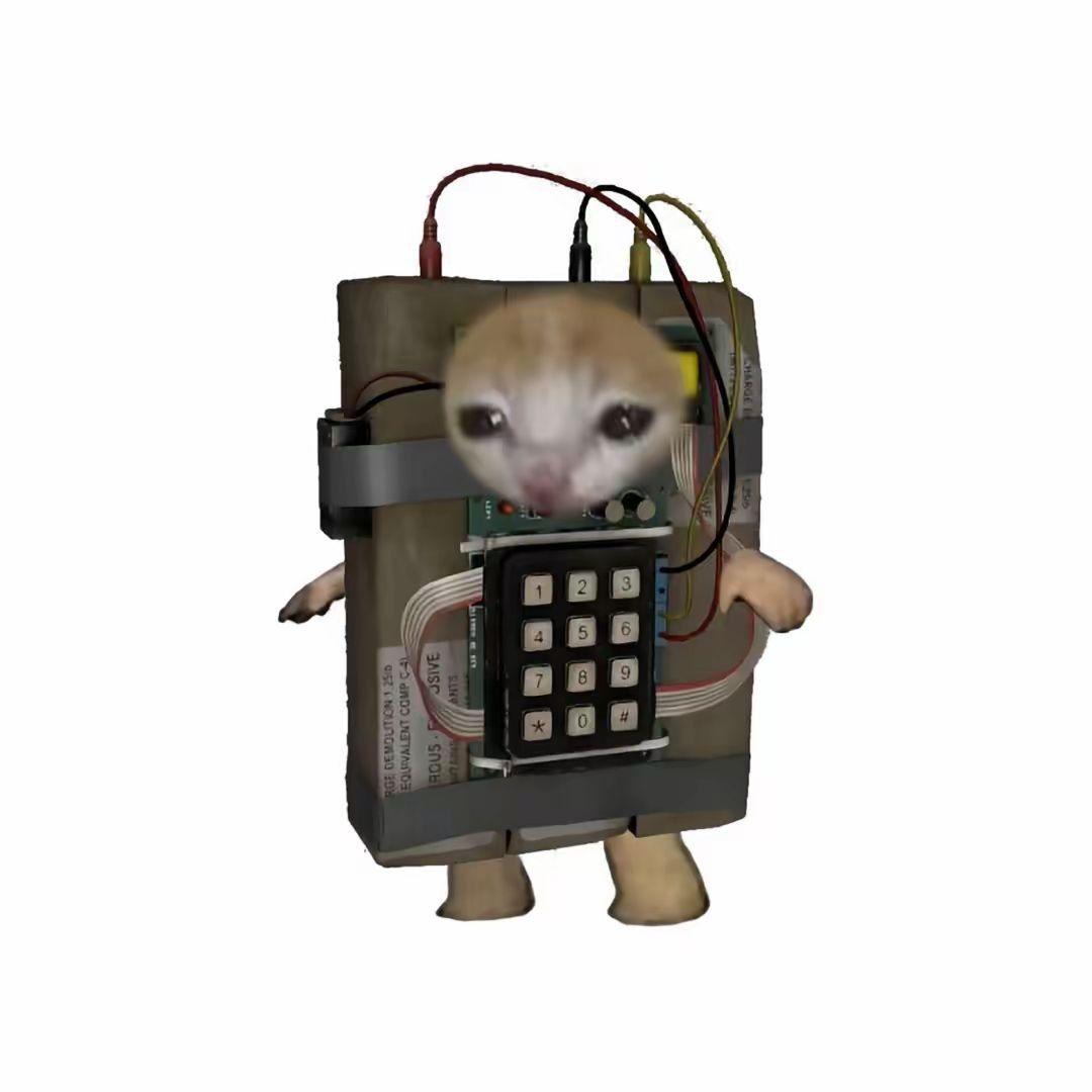 Vayflaay avatar