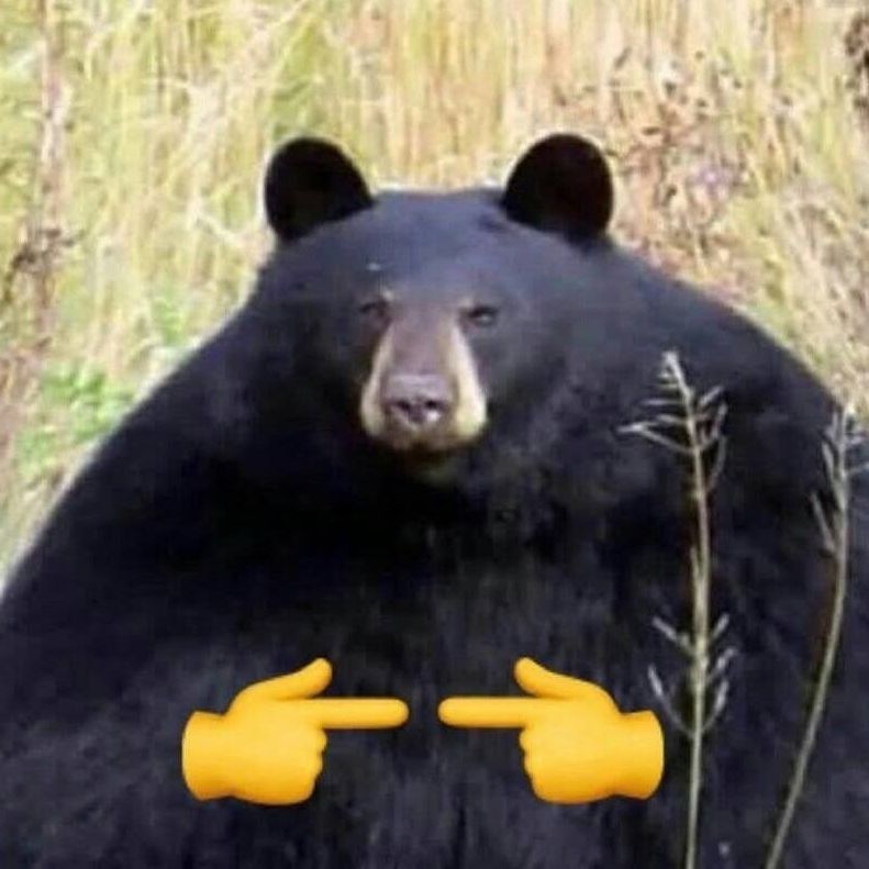team_avalanchy