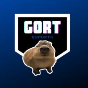 Gort Esports