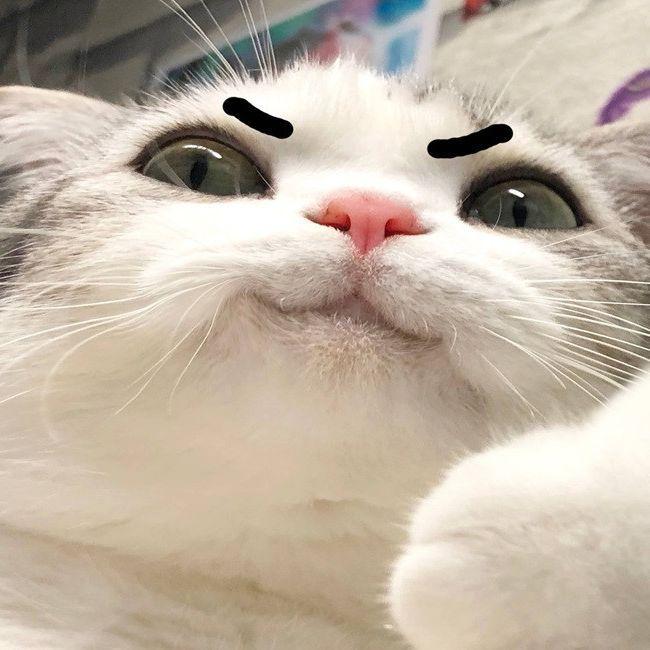 Soramino