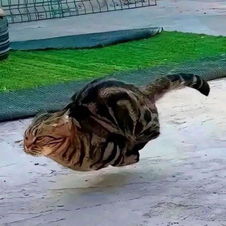 PangNum avatar