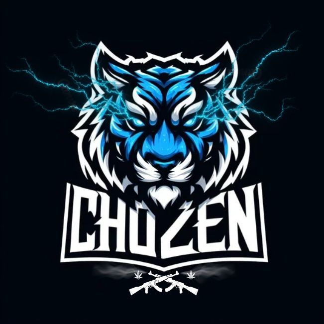 Join the cs2 hub Wingman