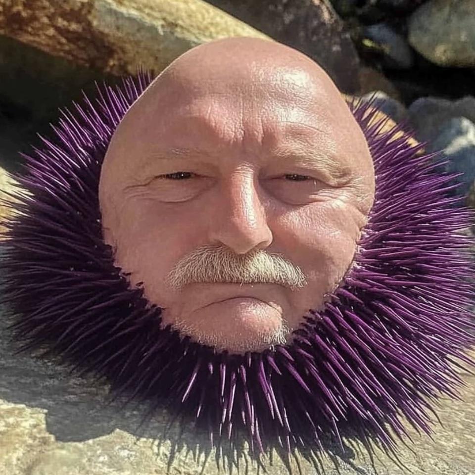 KupiYoupi avatar