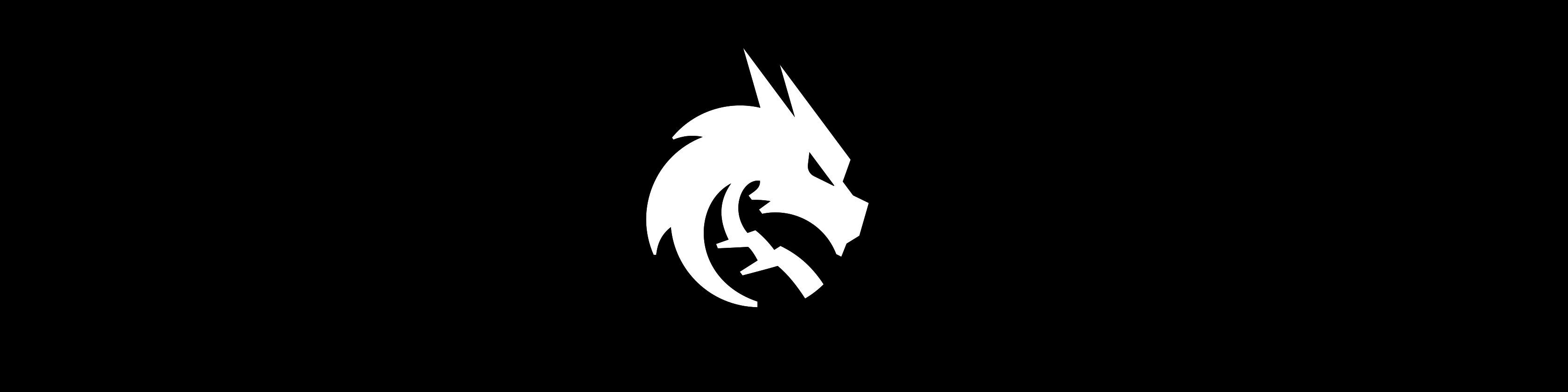 Faceit banner for @racy