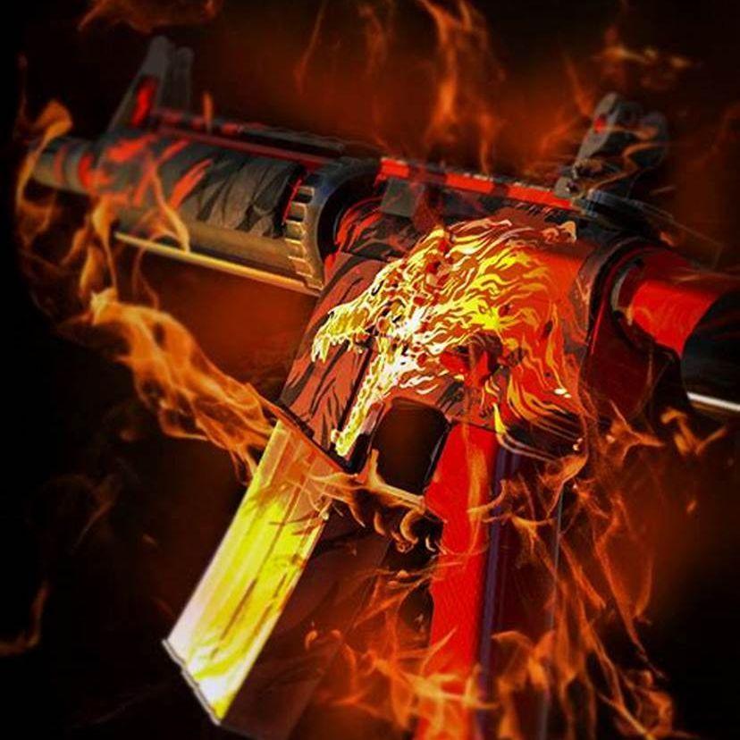 bo1syaST