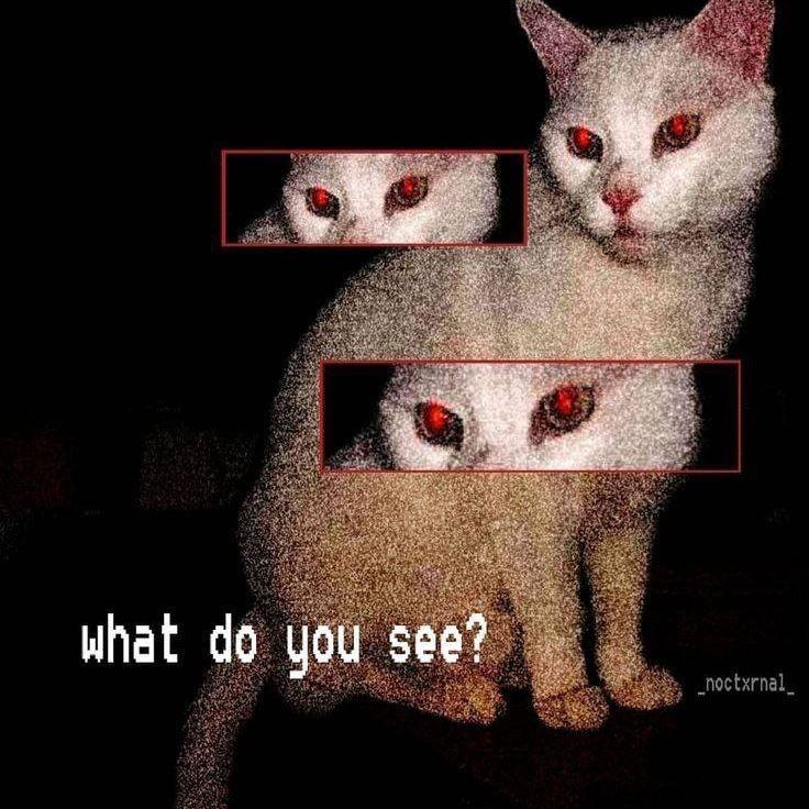 m9NeS_ avatar