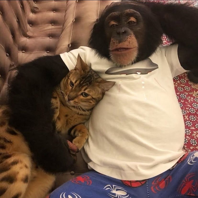MonkeTHC
