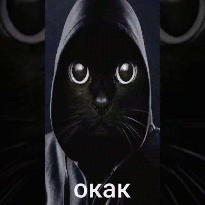 asketalis avatar