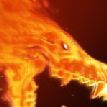nytis FACEIT avatar