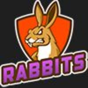 Amber Rabbits